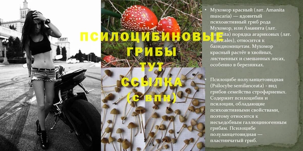 винт Абдулино