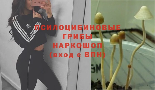 винт Абдулино