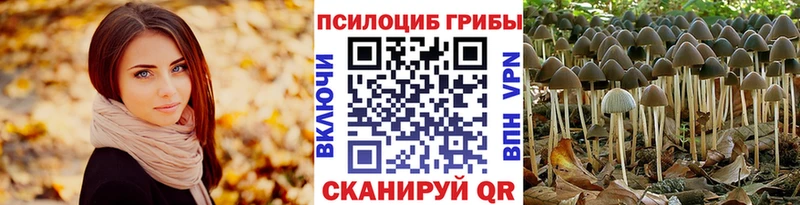Галлюциногенные грибы Magic Shrooms  Новочеркасск 